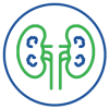Kidney Cancer Kidney Cancer
